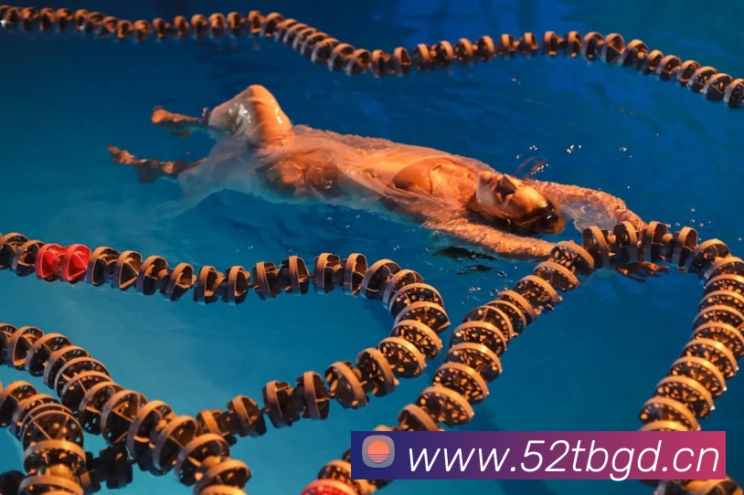 星空体育在线免费观看APP 封面图